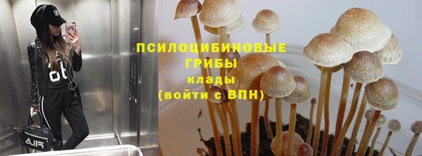 герыч Абаза