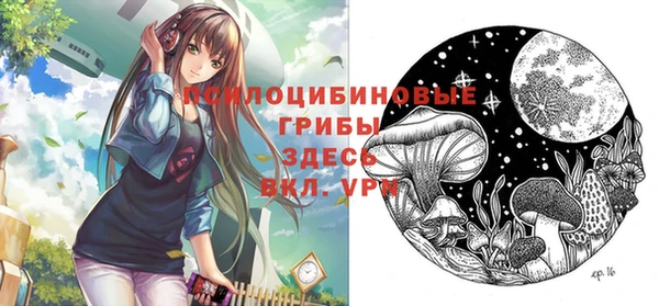 ECSTASY Абинск