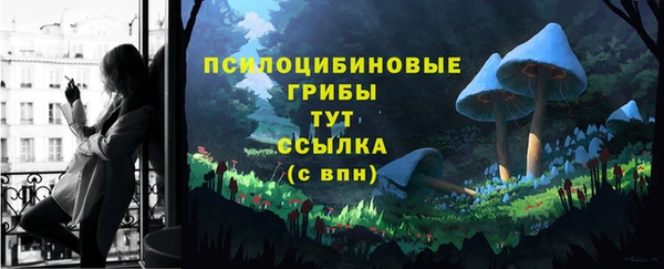 амф Алексин
