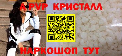 спайс Кингисепп