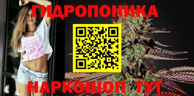 ПСИЛОЦИБИНОВЫЕ ГРИБЫ Кинель