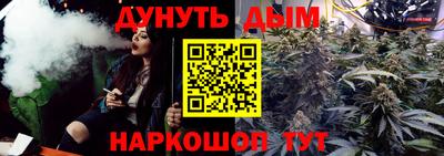 спайс Кингисепп