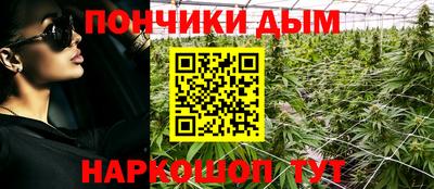 амф Кимры