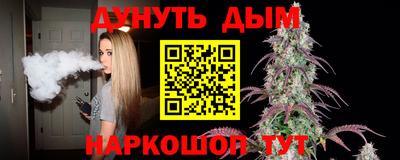 спайс Кингисепп