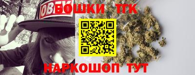 спайс Кингисепп