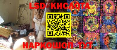спайс Кингисепп