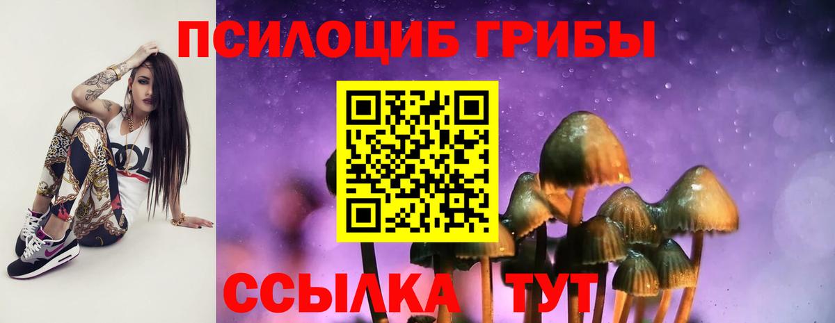 Галлюциногенные грибы прущие грибы Кингисепп
