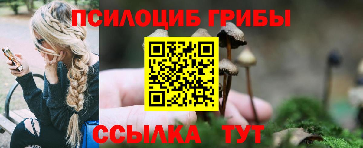 Псилоцибиновые грибы MAGIC MUSHROOMS  Вход с VPN  Кингисепп 