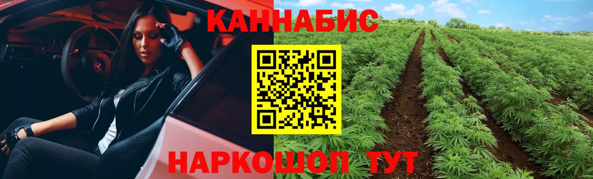 Каннабис тримм Кингисепп